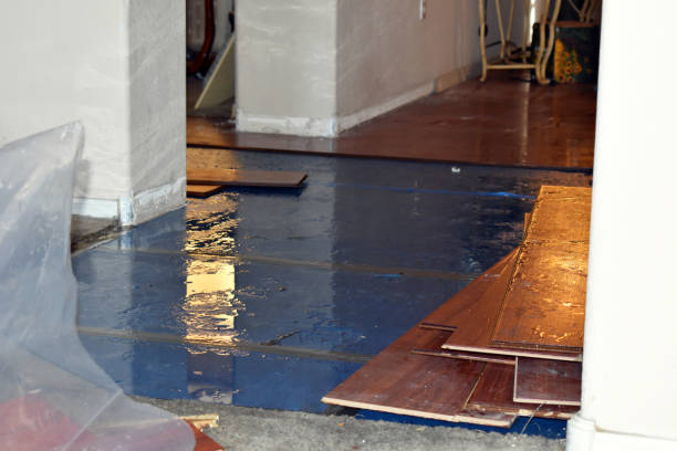 Professional Basement Flood Cleanup technician working in Columbia Falls, ME